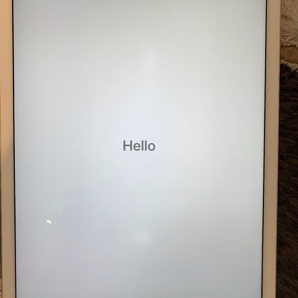 iPad Pro 12.9 in Gen 1